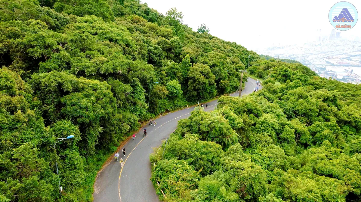 A road winding through dense forest on Son Tra Peninsula, with people walking and cycling and the city in the haze beyond