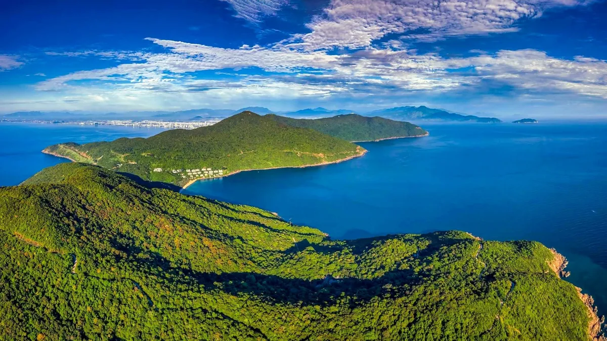 Aerial view of the forested Son Tra peninsula and a bay, with the city in the distance