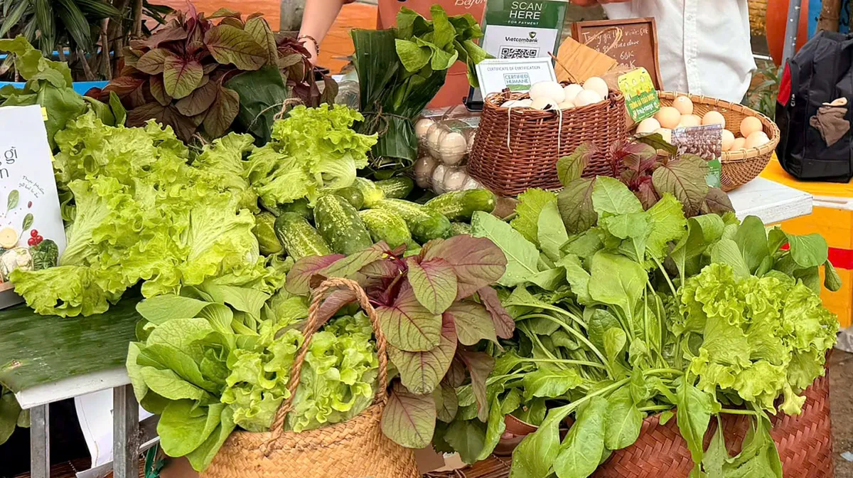 Baskets of lettuce, red amaranth, greens, cucumbers and eggs on a market stall, with a QR code payment sign behind