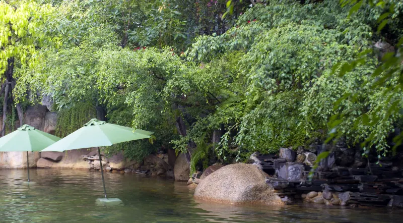 Da Nang hot springs: Nui Than Tai ticket prices, mud bath and how to get there and back
